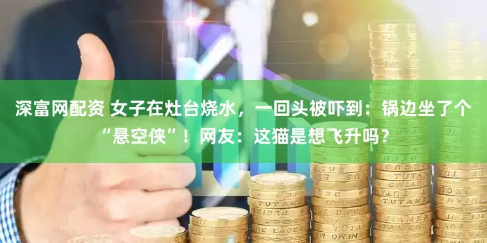 深富网配资 女子在灶台烧水，一回头被吓到：锅边坐了个“悬空侠”！网友：这猫是想飞升吗？